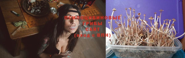 MESCALINE Алзамай