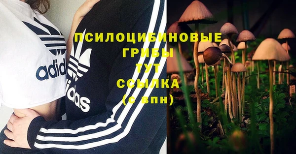 mdpv Алексин